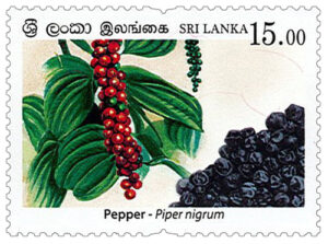 Spices of Sri Lanka - 2019 - Pepper (02/04)