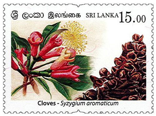 Spices of Sri Lanka - 2019 - Cloves (03/04)