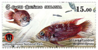 National Parks of Sri Lanka - Wasgamuwa National Park(3/6) - 2019(Sri lanka Combtail)