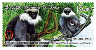 National Parks of Sri Lanka - Wasgamuwa National Park(4/6) - 2019(Sri Lanka Purple - Faced Langur)