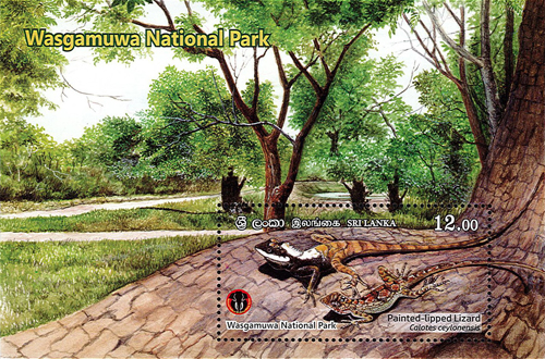 National Parks of Sri Lanka (ss)- Wasgamuwa National Park(1/6) - 2019(Painted lipped Lizerd)