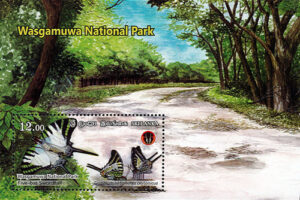 National Parks of Sri Lanka(ss)- Wasgamuwa National Park(2/6) - 2019(Five - bar Swordtail)