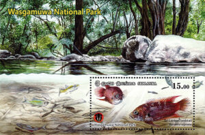 National Parks of Sri Lanka(ss) - Wasgamuwa National Park(3/6) - 2019(Sri lanka Combtail)