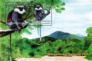 National Parks of Sri Lanka(ss) - Wasgamuwa National Park(4/6) - 2019(Sri Lanka Purple - Faced Langur)