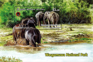 National Parks of Sri Lanka(ss) - Wasgamuwa National Park(5/6) - 2019(Asian Elephant)
