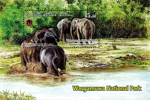 National Parks of Sri Lanka(ss) - Wasgamuwa National Park(5/6) - 2019(Asian Elephant)