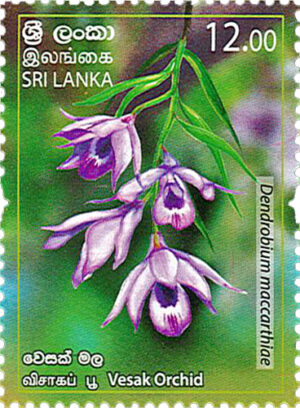 Provincial Flowers of Sri Lanka(Vesak Orchid) - 2019 (Series II)