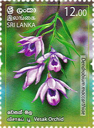 Provincial Flowers of Sri Lanka(Vesak Orchid) - 2019 (Series II)