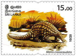 Wild species threatened by trade in Sri Lanka - 2020 - 10/20 (Manis crassicaudata) - MNH
