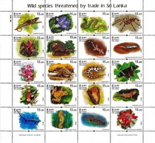 Wild species threatened by trade in Sri Lanka (Sheetlet) - 2020 - MNH