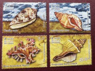 Seashells of Sri Lanka , Stamp set of 4, MNH